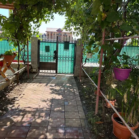 Guest house Casa Porto